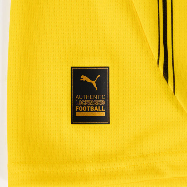 BORUSSIA DORTMUND MAILLOT DOMICILE 2024